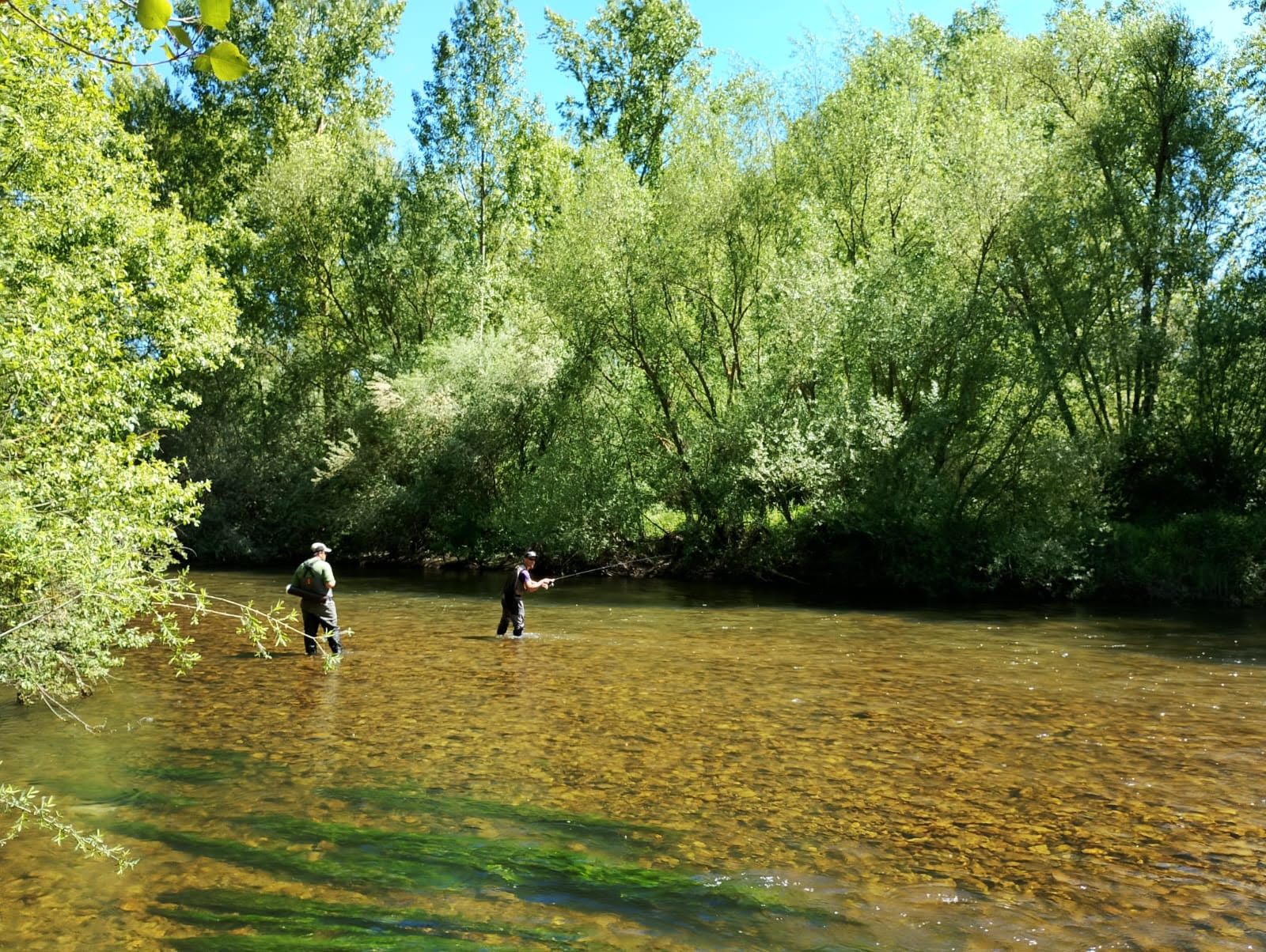 Celebrado el LVII Campeonato de España Salmónidos Lance